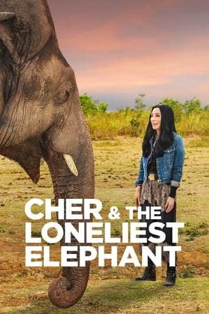 Cher & the Loneliest Elephant - Film in streaming ita: scopri dove